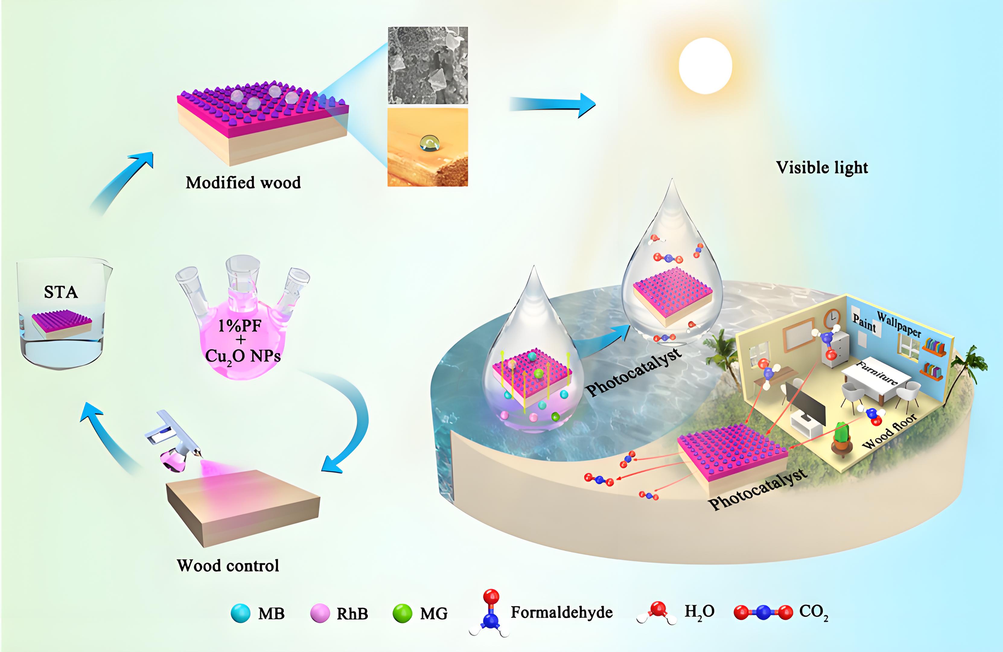 光降解和生物降解塑料袋區(qū)別？(圖1)