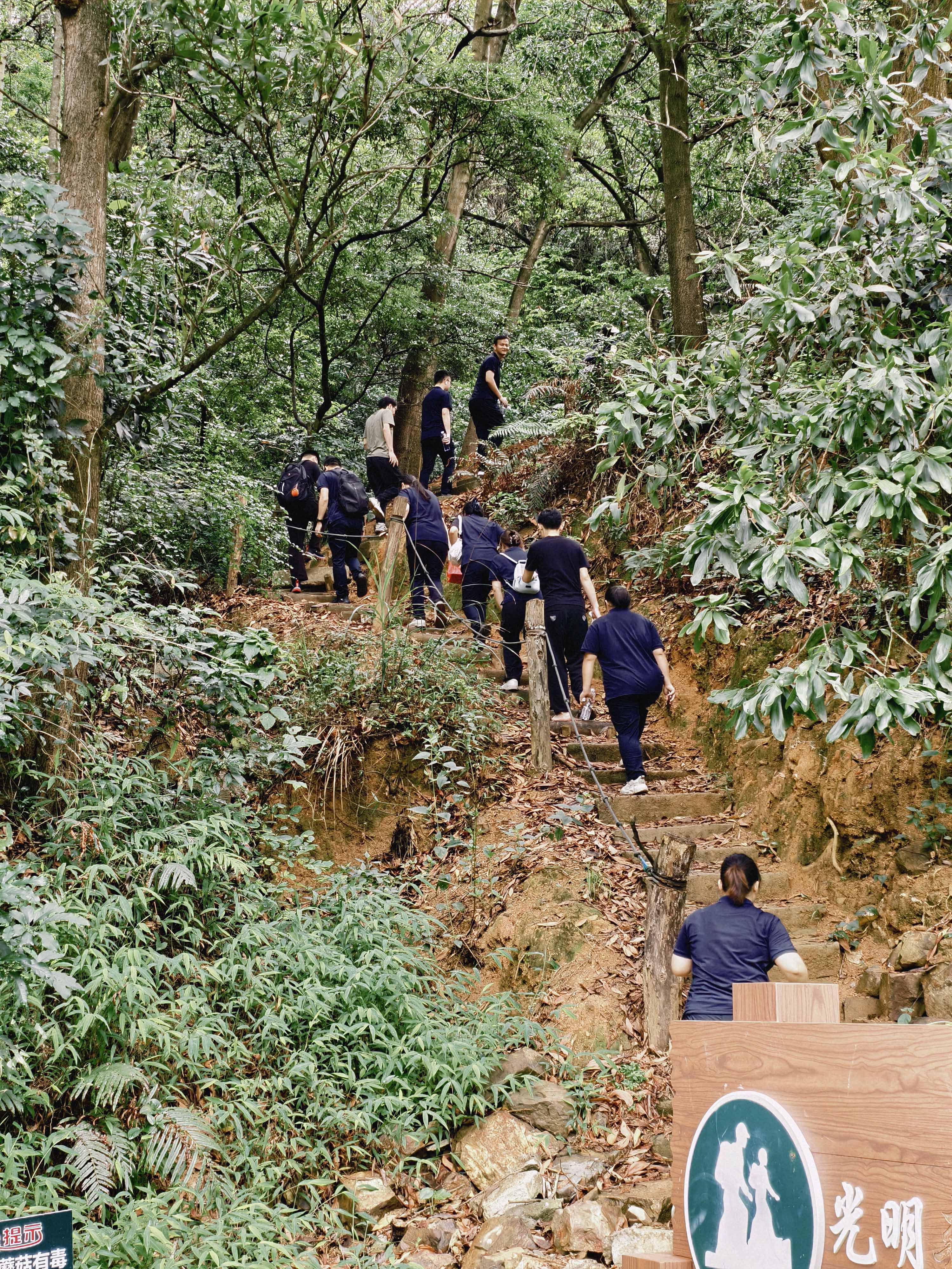 久信達(dá)科技公司員工齊聚光明區(qū)蠄蜍石，開(kāi)啟活力爬山之旅暨團(tuán)建活動(dòng)(圖2)