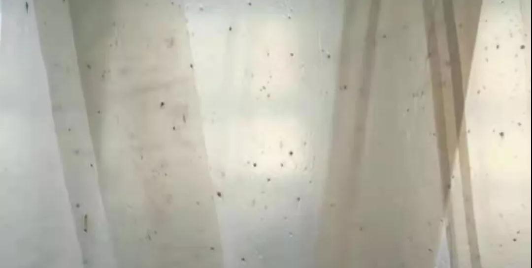 PBAT膜袋有黑點(diǎn)是什么原因？(圖1)